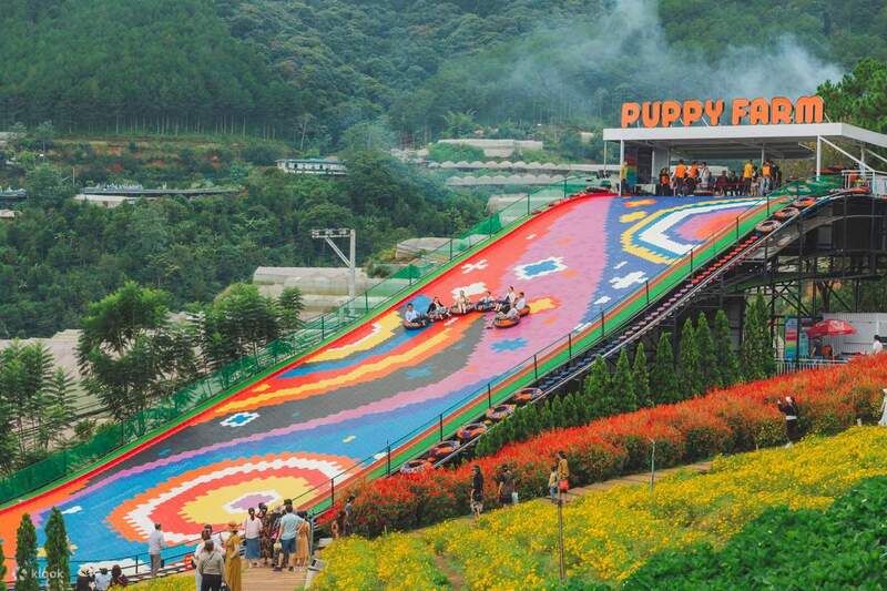 Nông trại cún – Puppy Farm Đà Lạt