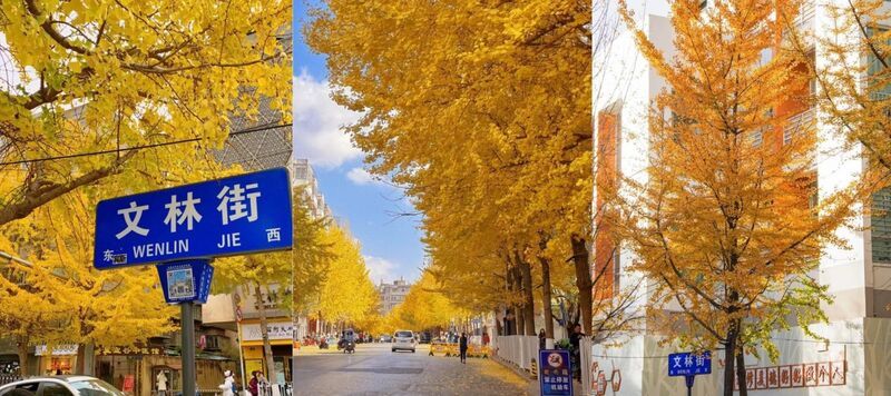 “Thành phố mùa xuân” – nơi dừng chân lý tưởng