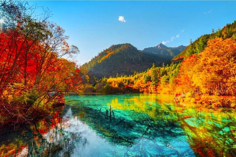 Cửu Trại Câu cao bao nhiêu mét so với mực nước biển?