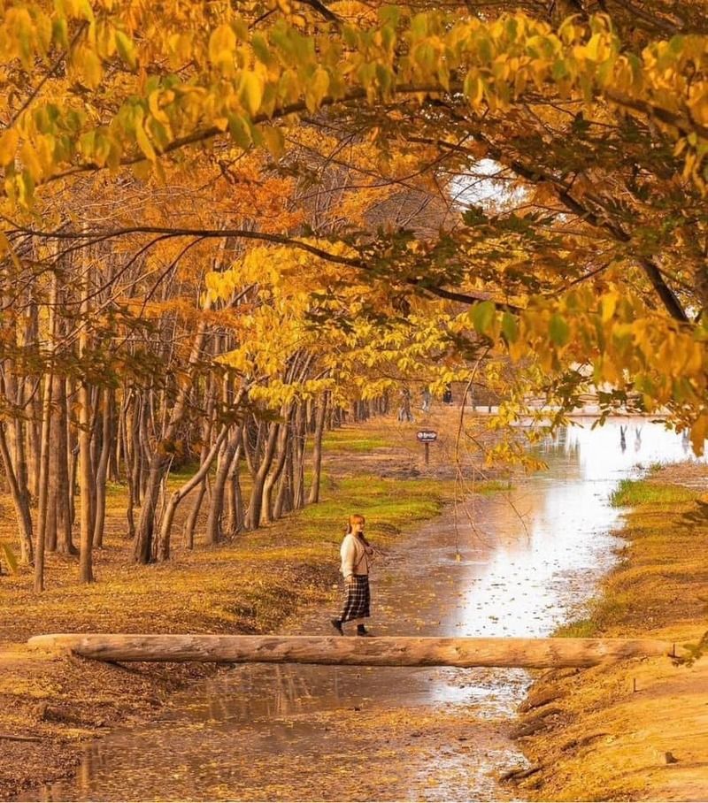 Gyeongju – Thành phố lịch sử đẹp như tranh