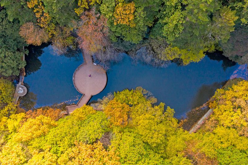 Kinh nghiệm du lịch Busan tháng 11