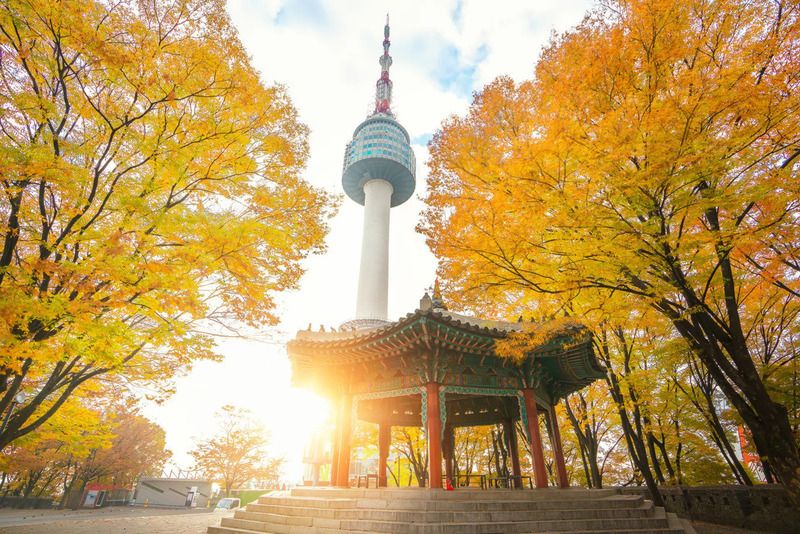Du lịch Tháp Namsan vào thời điểm nào đẹp nhất?