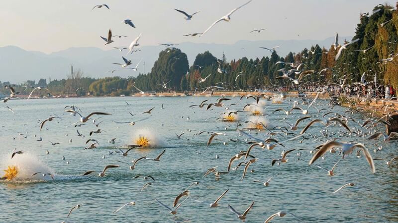 Hướng dẫn đường đi tới hồ Điền Trì