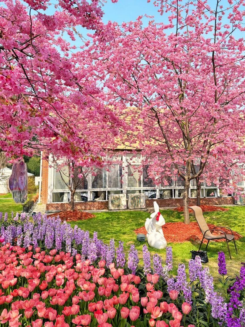 Không khí trong lành, yên bình