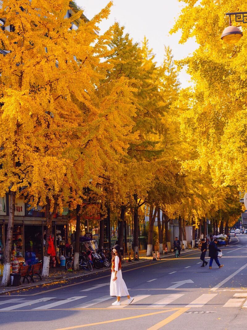 Mùa thu (tháng 9–11) – Mùa đẹp nhất trong năm