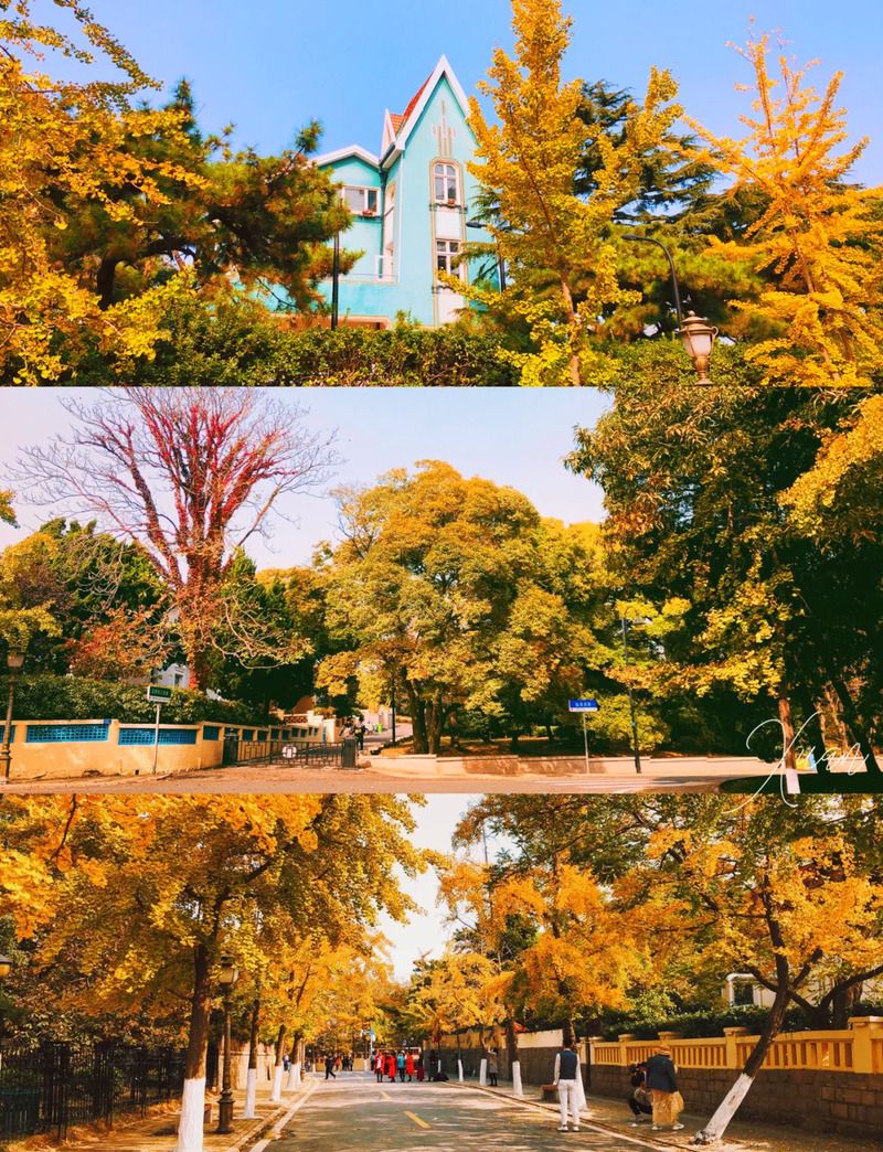 Ngắm lá đỏ ở Bát Đại Quan