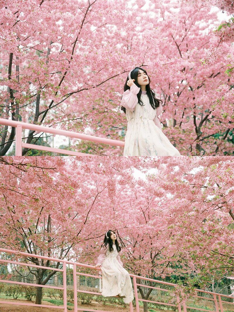 Giới thiệu về Trang viên Mạn Hoa