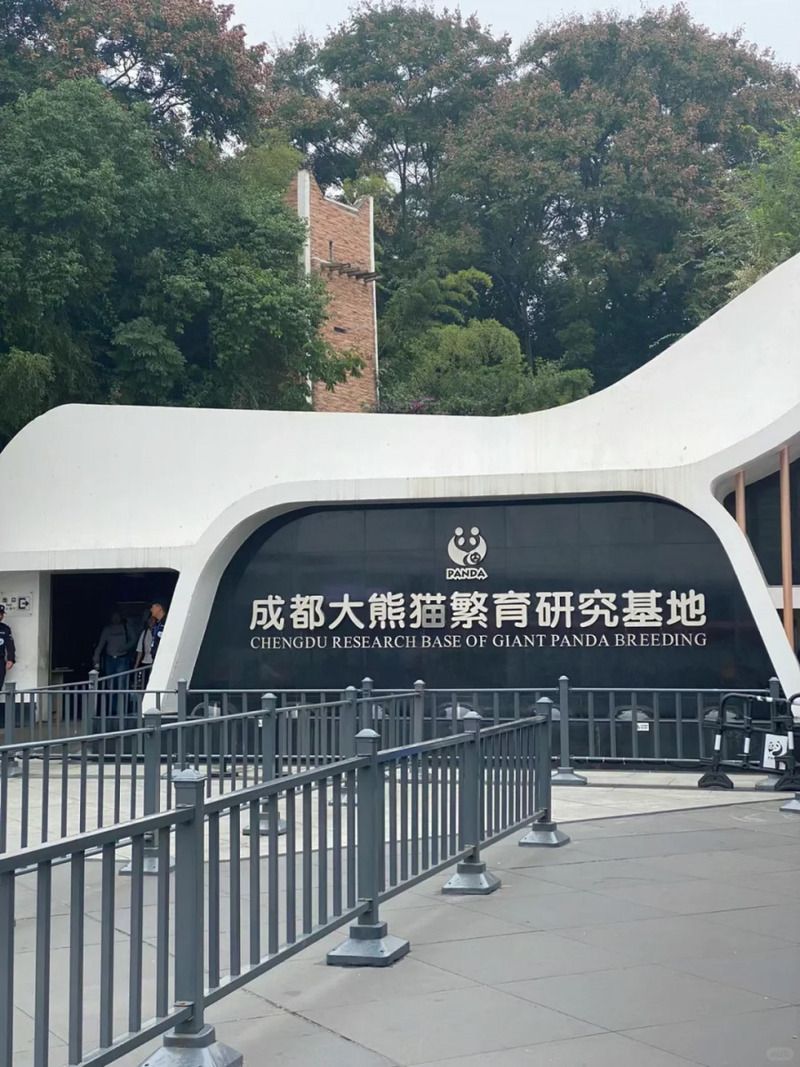 Bảo tàng Gấu trúc (Panda Museum)