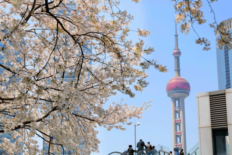 Thượng Hải vào xuân