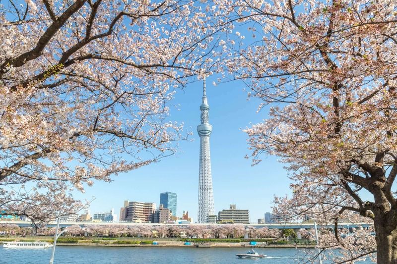 Chụp ảnh Tokyo Skytree từ bờ sông Sumida
