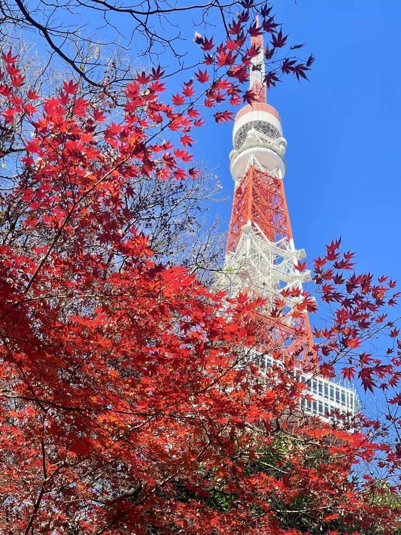 Vé tham quan Tháp Tokyo