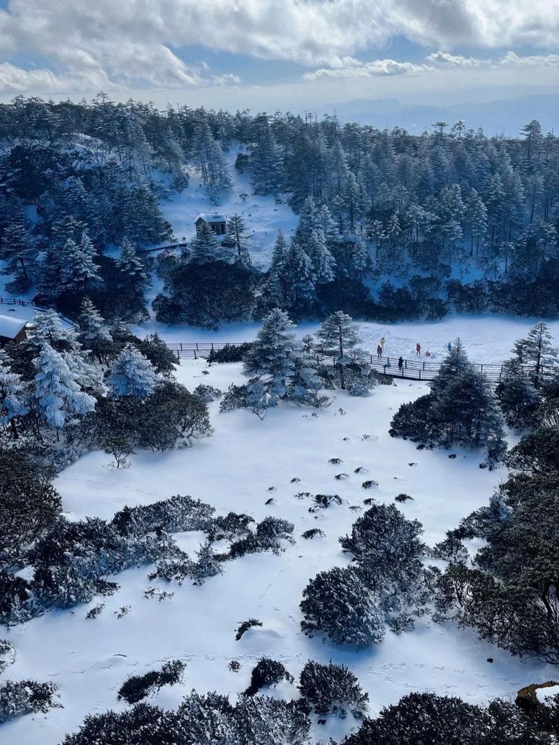 Khi nào là thời điểm lý tưởng để săn tuyết Kiệu Tử Sơn?