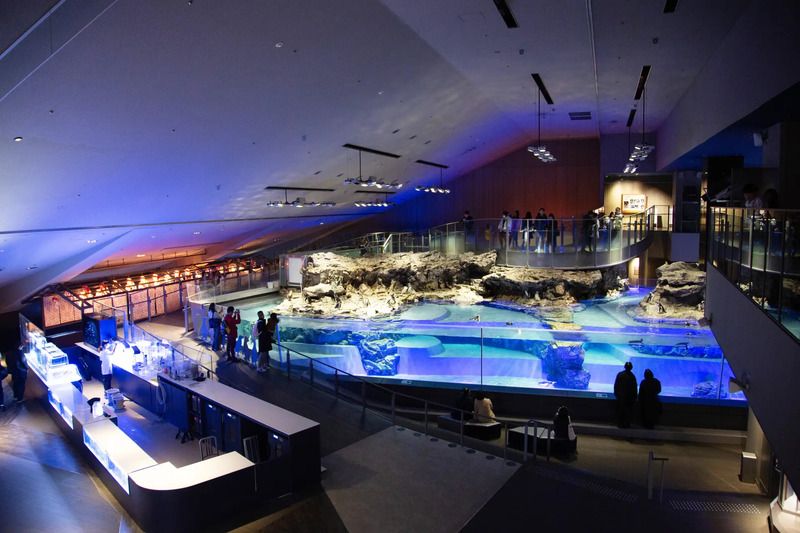 Ghé thăm Sumida Aquarium