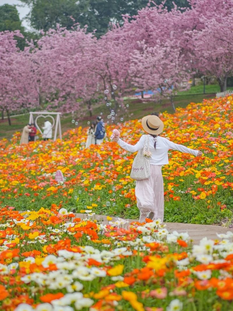 Background sống ảo cực đẹp cho mọi concept