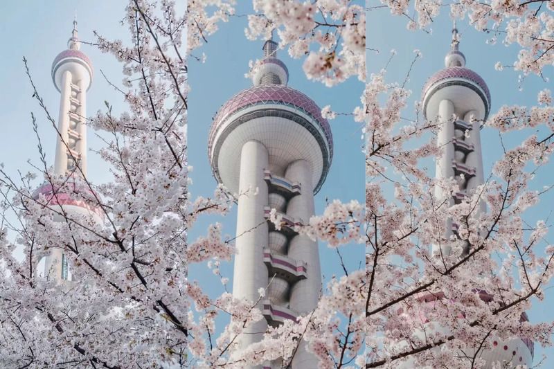 Thượng Hải vào xuân