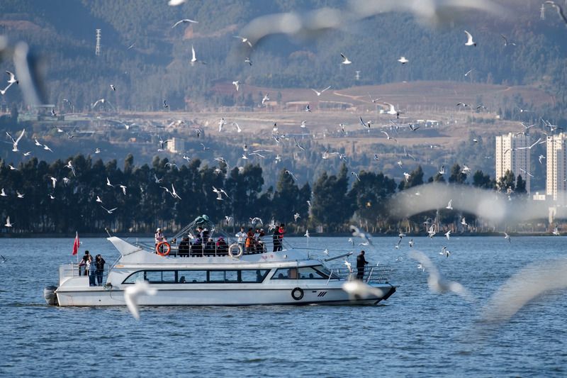 Đi thuyền ngắm hồ