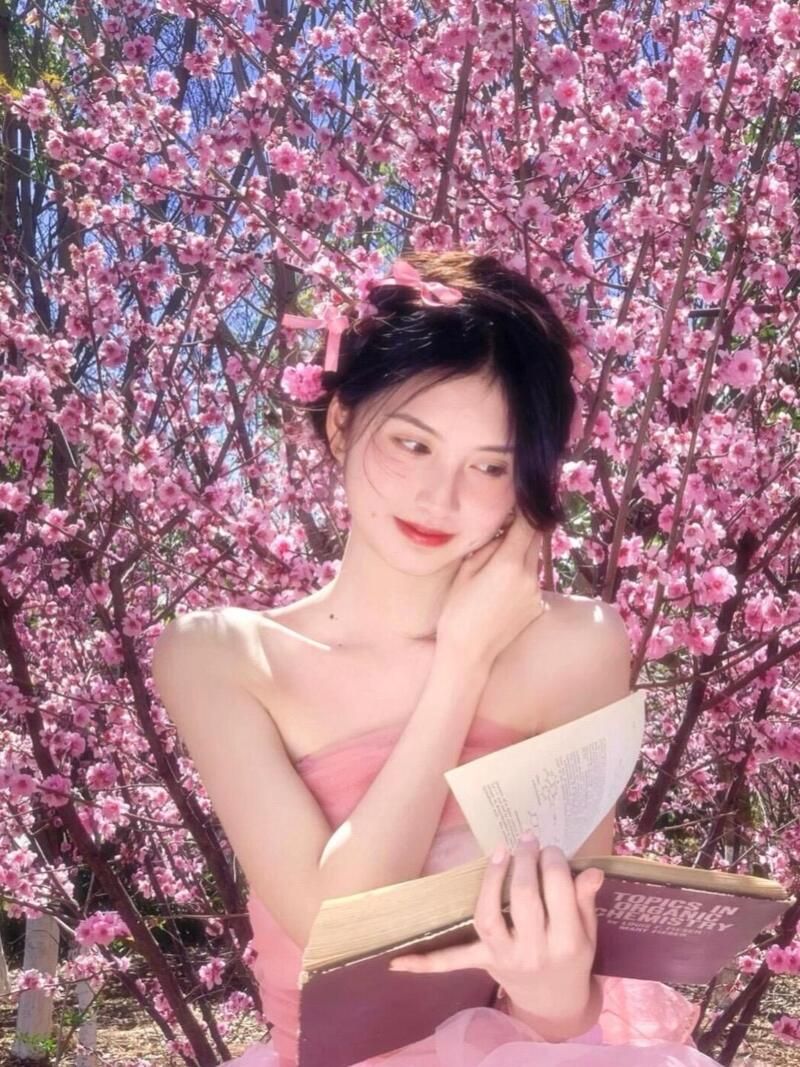 Dịch vụ đa dạng: quán trà, điểm nghỉ chân, chụp ảnh,....