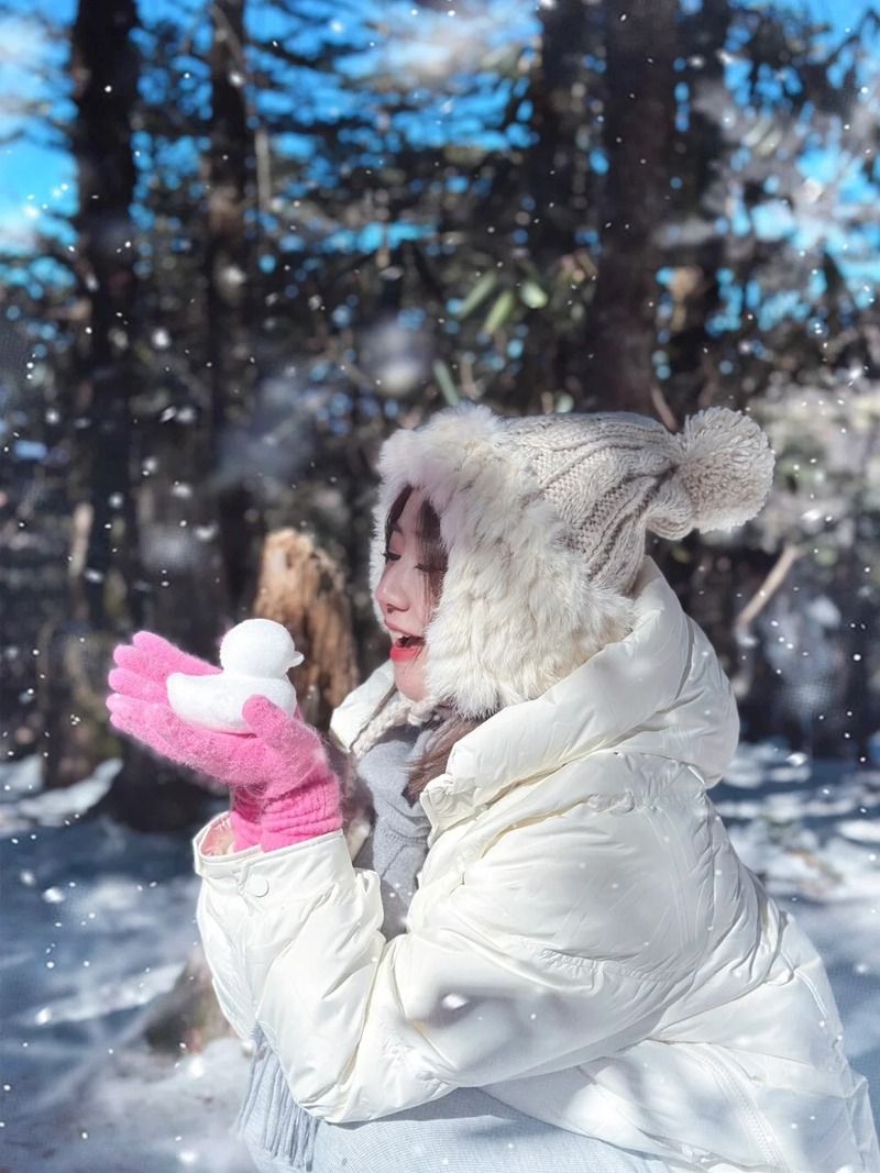 Cảnh sắc bốn mùa – đặc biệt đẹp vào ngày tuyết mới rơi