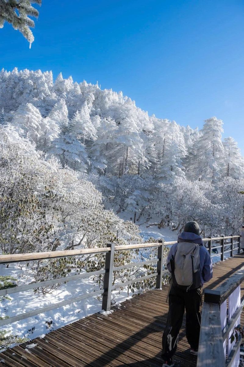 Khi nào là thời điểm lý tưởng để săn tuyết Kiệu Tử Sơn?