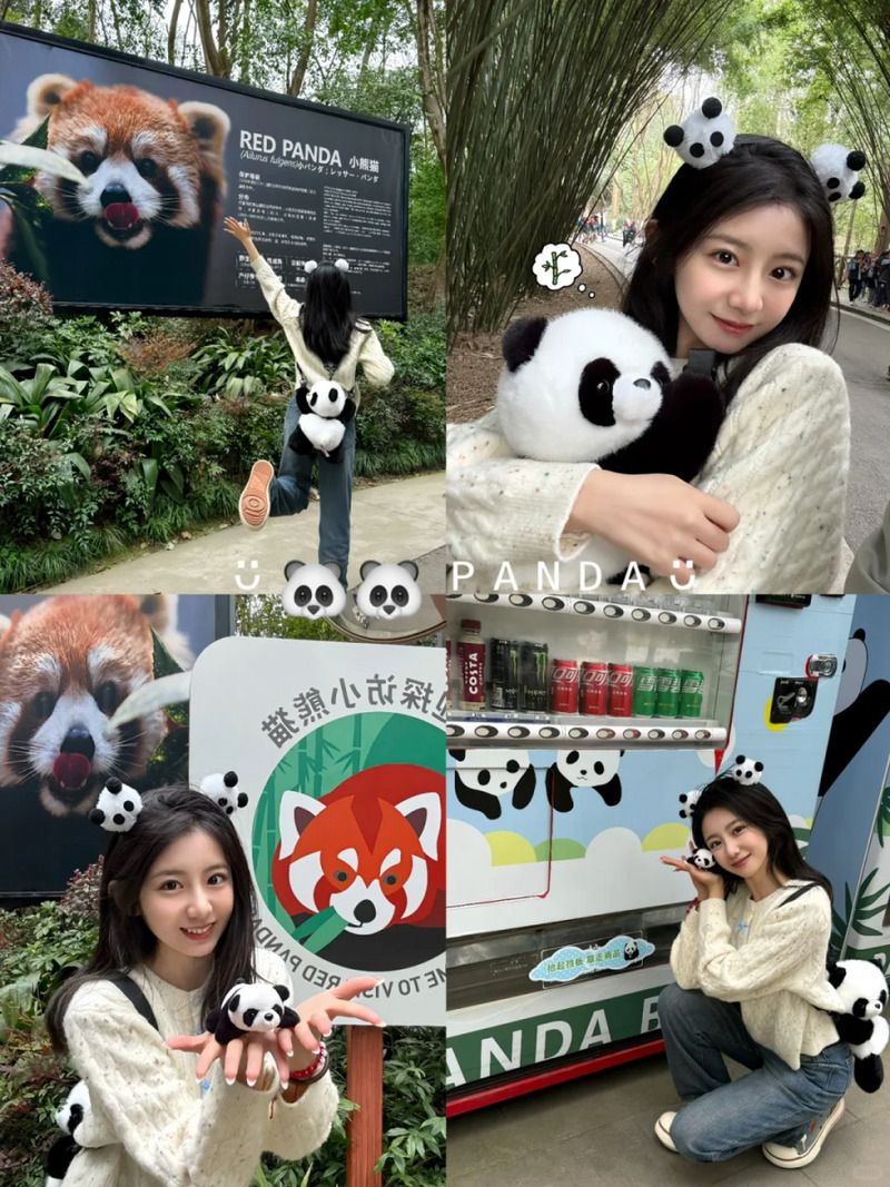 Gợi ý Tour Thành Đô – Công viên Gấu Trúc cho du khách Việt