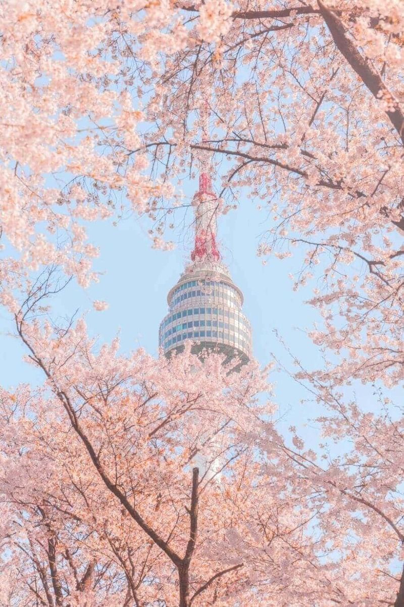 Tháp Nam San (N Seoul Tower)