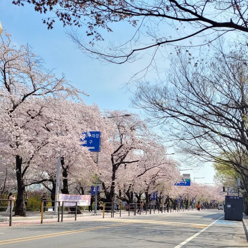 Công viên Yeouido