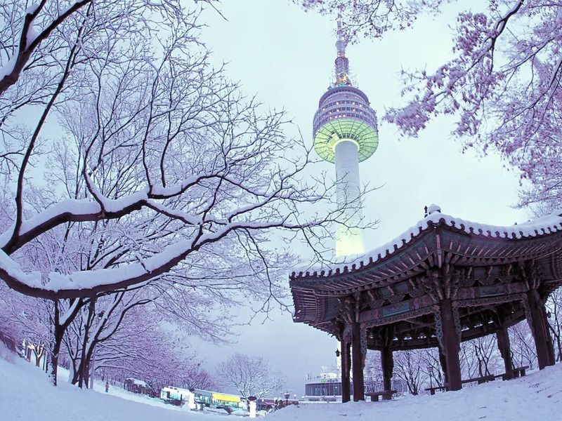 Namsan Tower và khu vực Namsan Park
