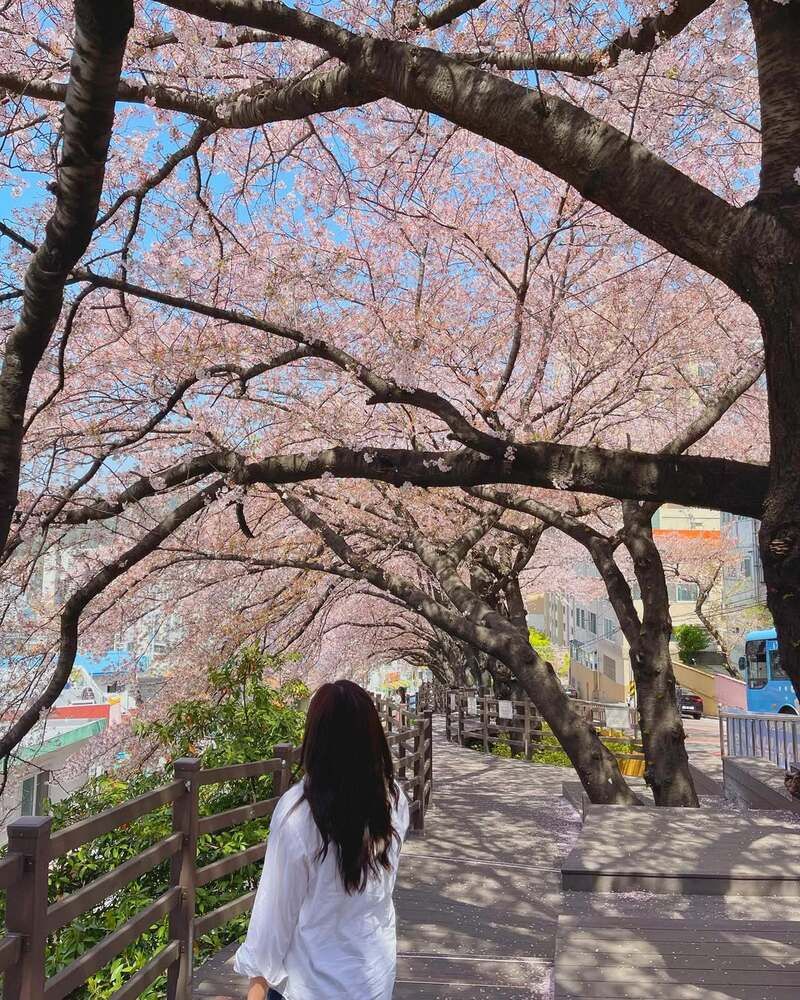 Đường Dalmaji Haeundae