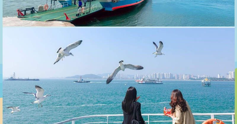 Trải nghiệm đi Phà cho Hải Âu ăn lúc hoàng hôn