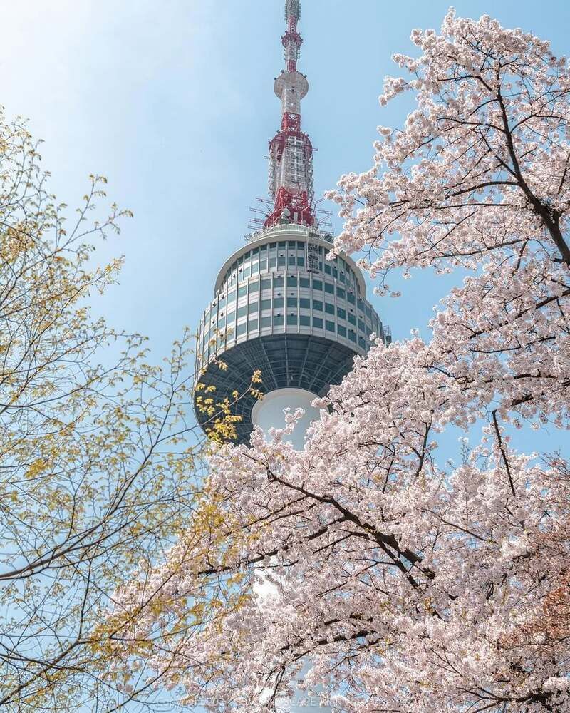 Tháp Namsan (N Seoul Tower)