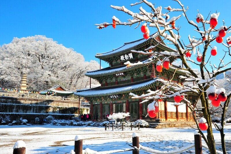 Tháng 2 – Tuyết vẫn rơi nhưng dần tan