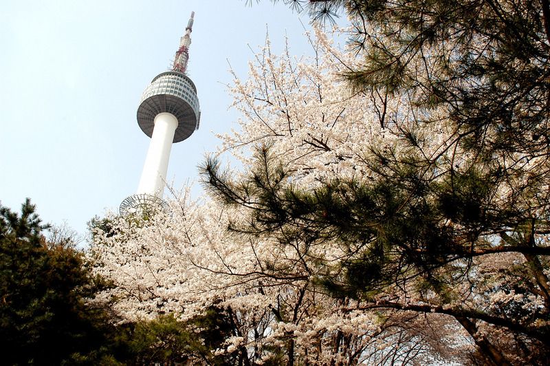 Tháp Namsan (N Seoul Tower)
