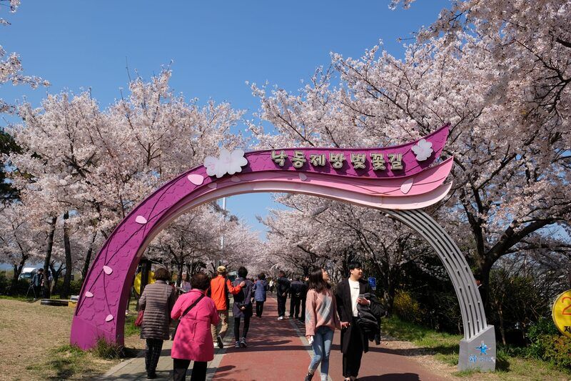 viên sinh thái Samnak, quận Sasang