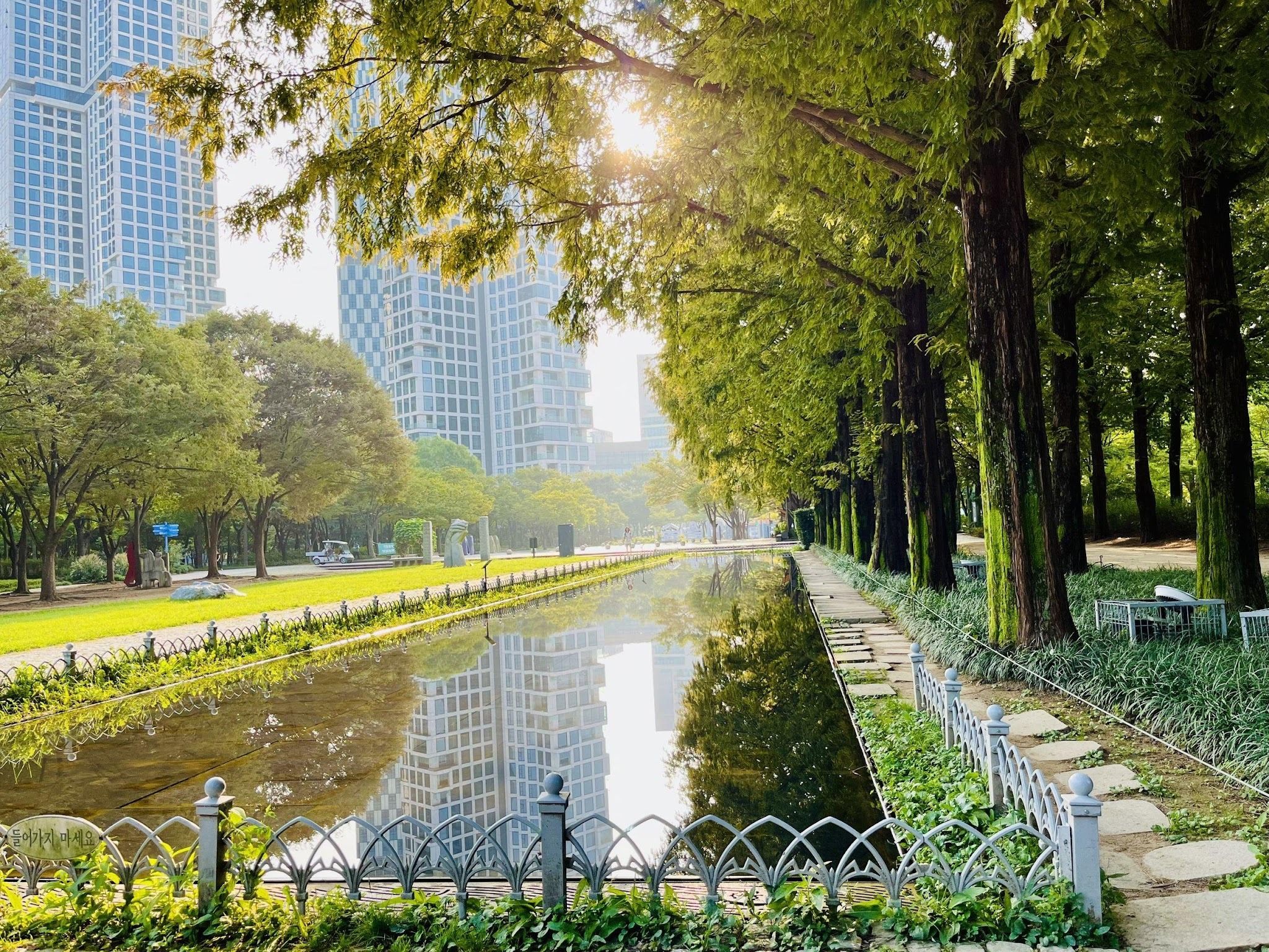 Seoul Forest Park — Open Corners