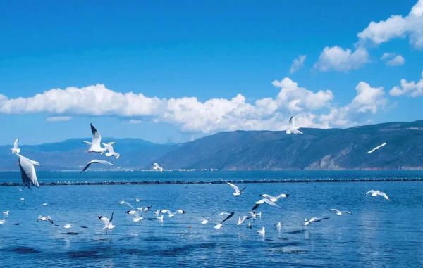 Khám phá Hồ Điền Trì – Biểu tượng du lịch Côn Minh Trung Quốc | Công ty du  lịch Elite Tour