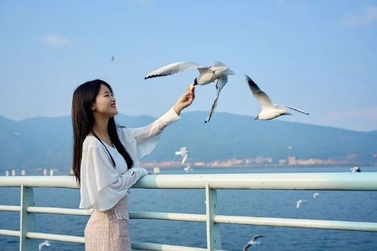 Ghé hồ Điền Trì - Ngắm Hải âu tung bay khắp trời Côn Minh