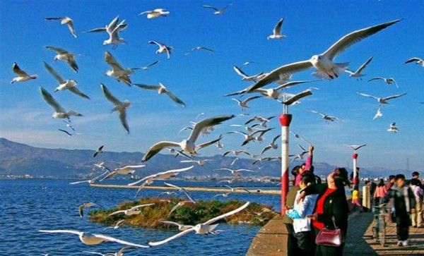Hồ Điền Trì - Điểm đến 