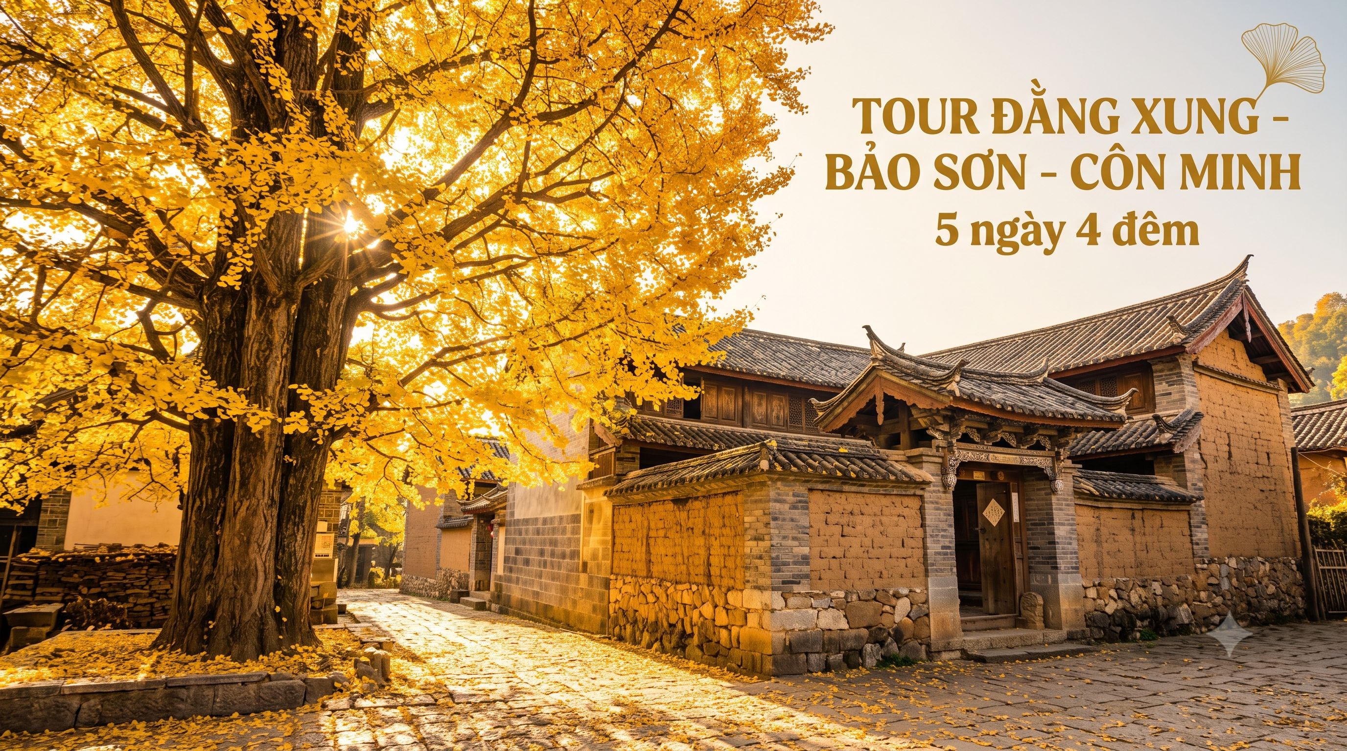 Tour image