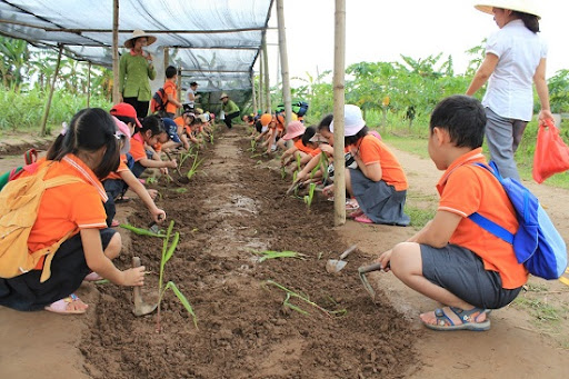 Các bé làm đất, trồng cây