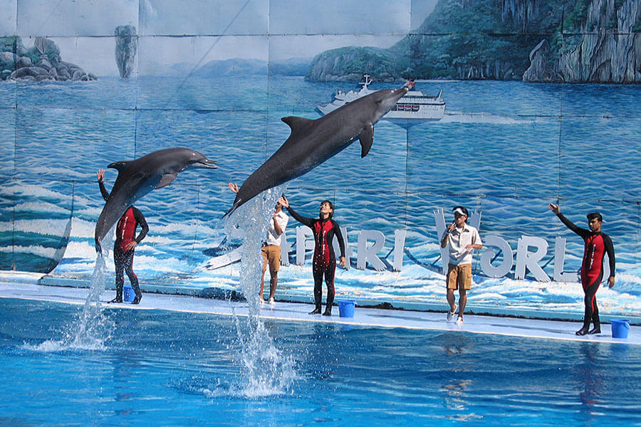 https://wondertour.vn/wp-content/uploads/2022/11/show-ca-heo-dolphin-show-thai-lan.jpg.jpg